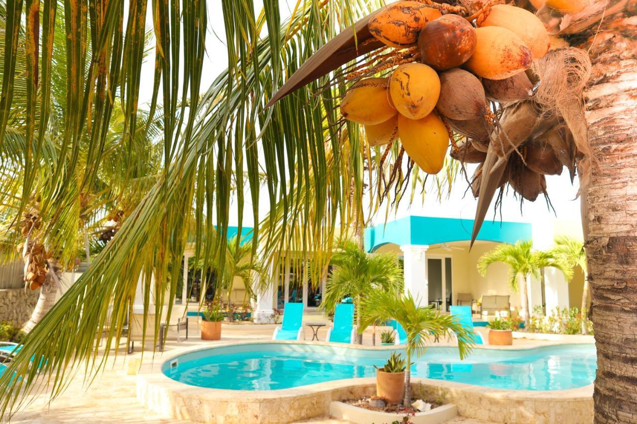 Aqua Viva Suites Playa Exteriör bild