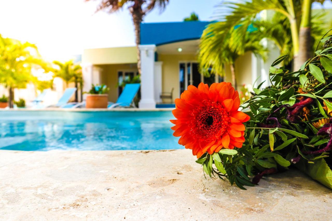 Aqua Viva Suites Playa Exteriör bild