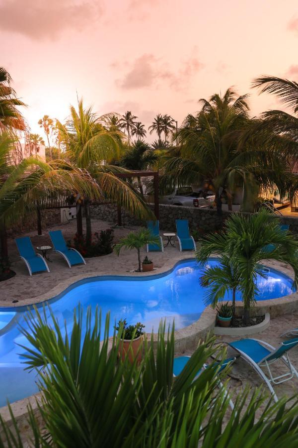 Aqua Viva Suites Playa Exteriör bild